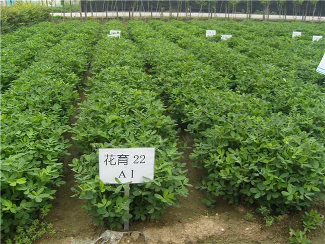基地展示