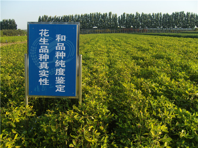 基地展示